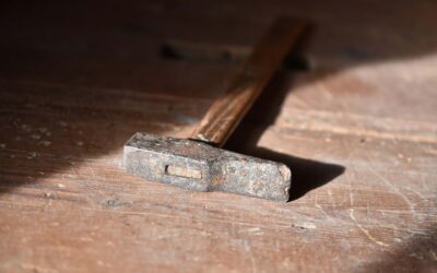 Come combattere i tarli con trattamenti fai da te